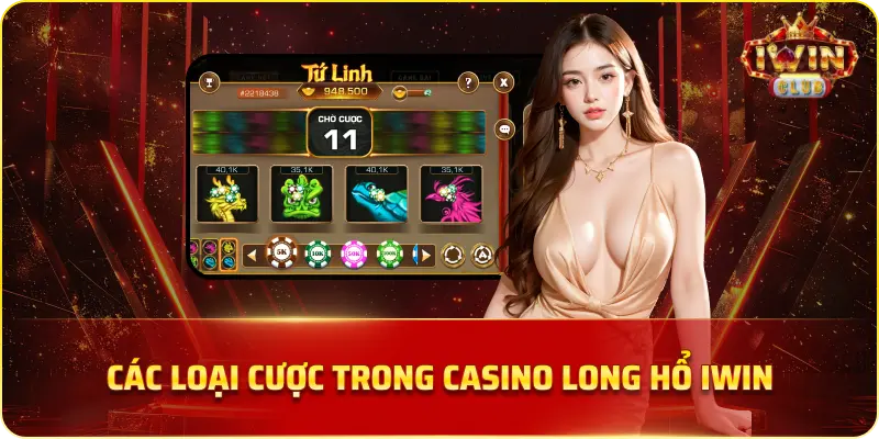 Các loại cược trong Casino Long Hổ IWIN