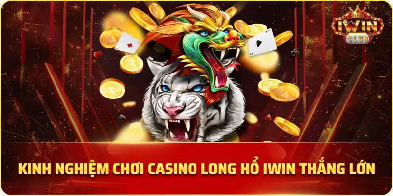 Kinh nghiệm chơi Casino Long Hổ IWIN thắng lớn