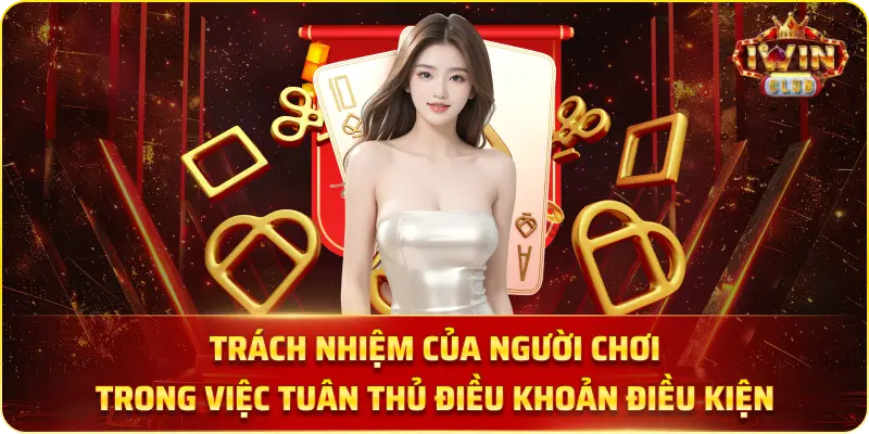 Trách nhiệm của người chơi trong việc tuân thủ điều khoản điều kiện