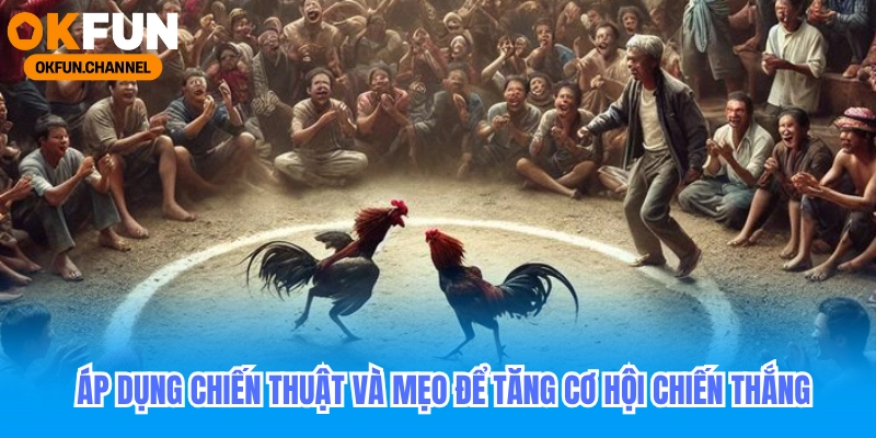 Áp dụng chiến thuật và mẹo đá gà okfun để chiến thắng